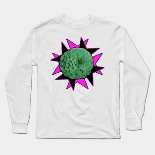 desert flower Long Sleeve T-Shirt